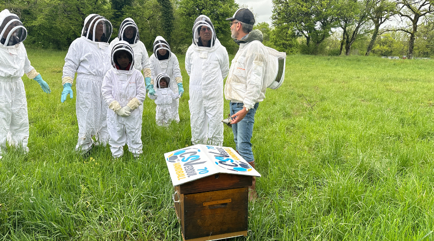Le CSV70 va travailler avec les abeilles
